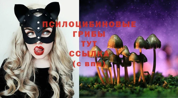 гашик Михайлов
