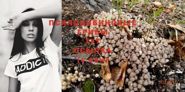 сатива Бронницы