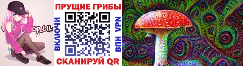 блэк спрут вход Гаврилов-Ям Псилоцибиновые грибы ЛСД